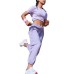 Skechers Sports Life Collection Knitted Sweatpants Women's Light Purple Vine/02F4 Light Purple Wisteria/02F4, 2XL