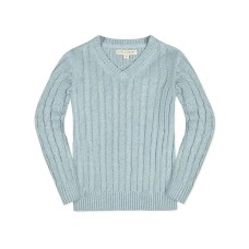 Baby Boys Long Sleeve Fine Gauge Cable V-Neck Sweater Dusty blue heather cable, 6-12 месяцев